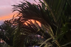 15222313-73E9-4D5D-AED5-60AC78F670F1
