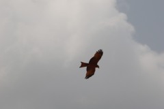 20230102130242_IMG_1749