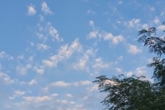 69E169A5-C7AD-4147-B211-3665E0033B79