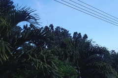 7F730D2F-12B8-4FB3-BC97-F8C5396ADEB0