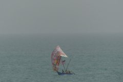 IMG_2710