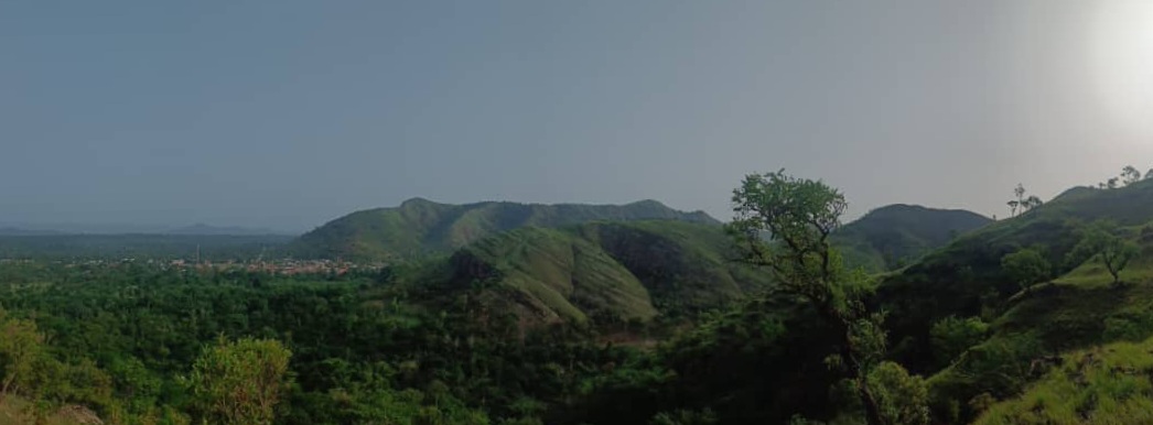Voltaregion.
